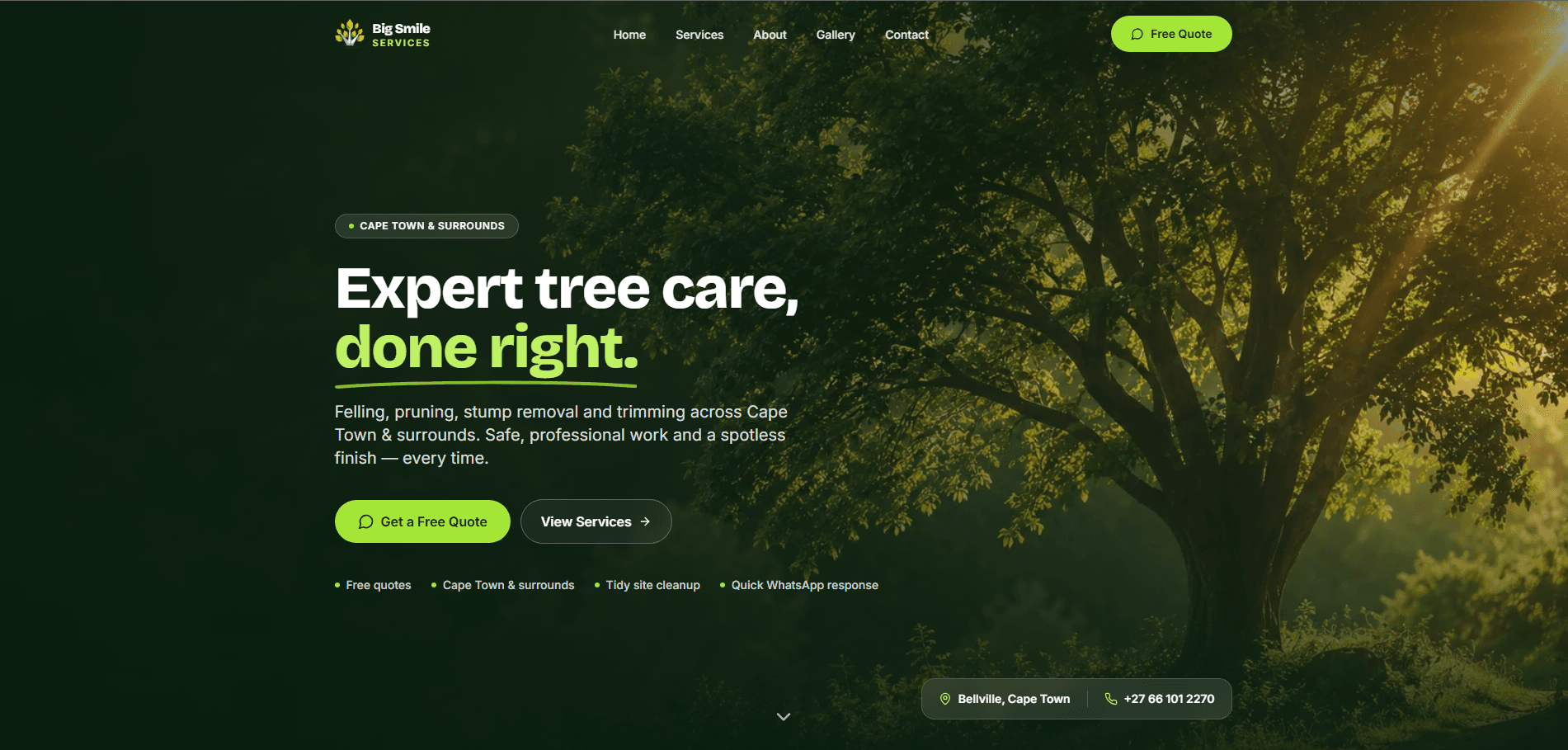 Big Smile Services website built by Nexsite Studios